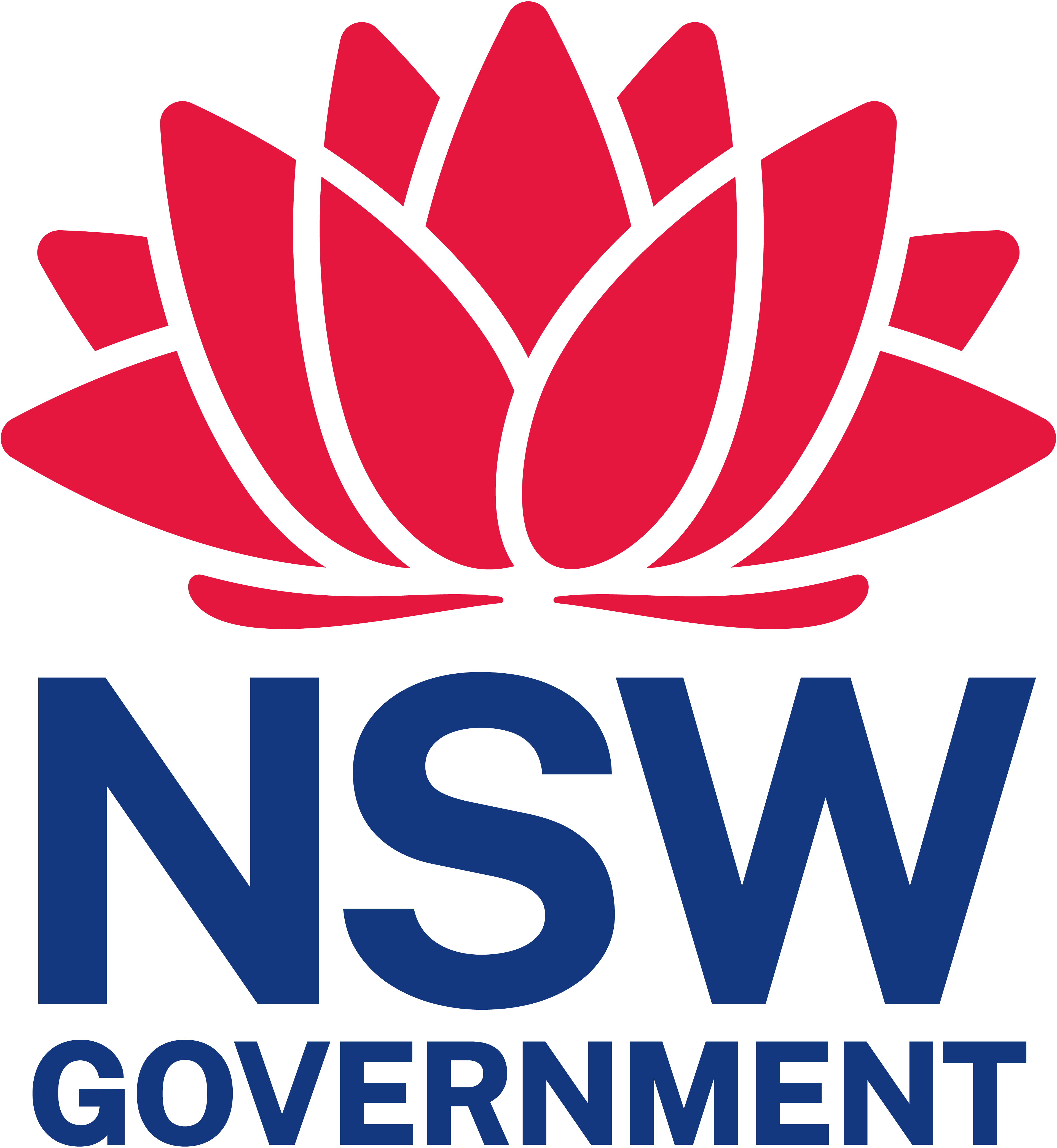 Create NSW