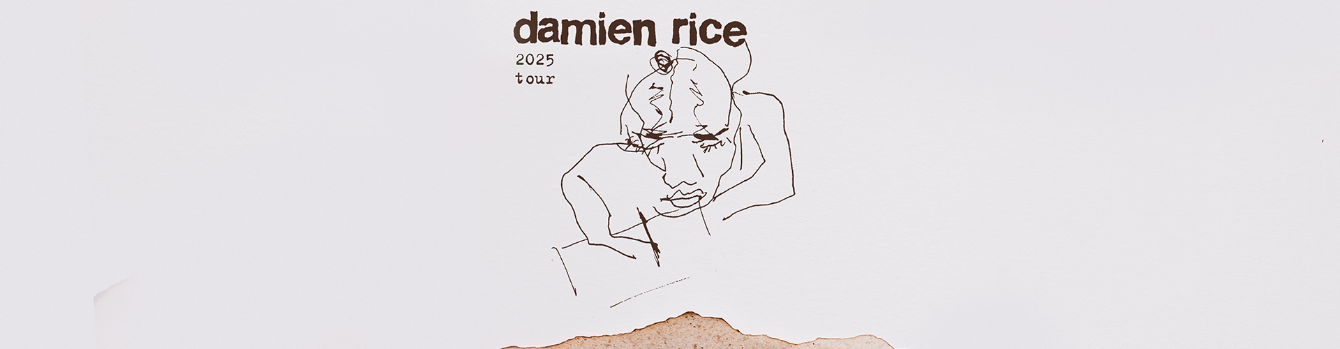 Damien Rice